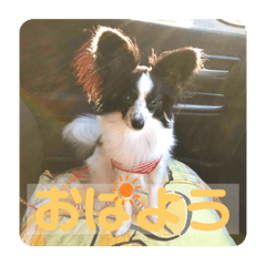 vonurigosso_20211124132218