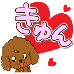 toy poodle Natsu