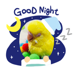 TORI_bird