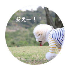 suzu_20211124161953