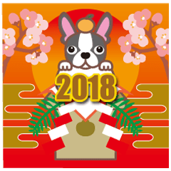 2018 NEW YEAR. Friendly Boston terrier.