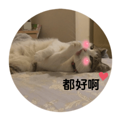 咪咪老闆來囉part2