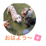 cocotamama_20211124173431