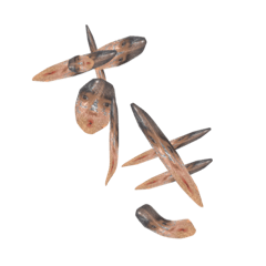 nozomi_20211124221143