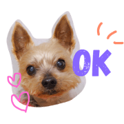 muku.