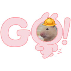 aoi_20211125042422
