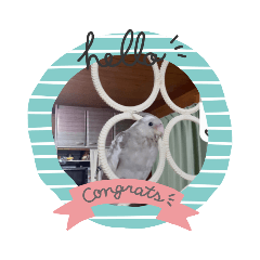 smile_20211125085129