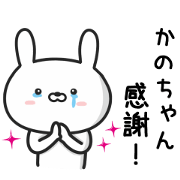 Rabbit For KANOCYANN
