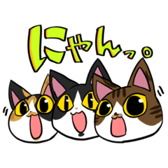 WATAchan_20211124180043