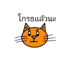 the cute orange cat .