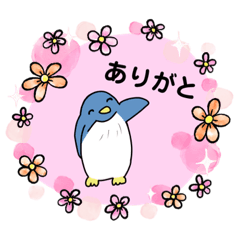 aoi penguins