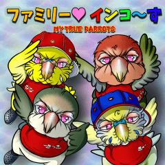 ファミリー♥インコーず