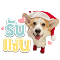 Iamnook_20211125010412