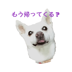 kaori_20211125125545