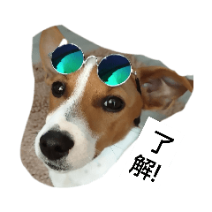 JRT LEO