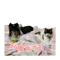 Miki_20211125160623