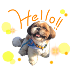 CHERRY_20211125160907