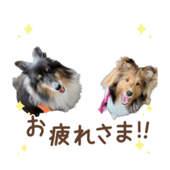 Miki_20211125161248