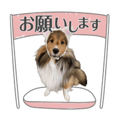 Miki_20211125160937