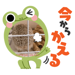 aoi_20211125171201