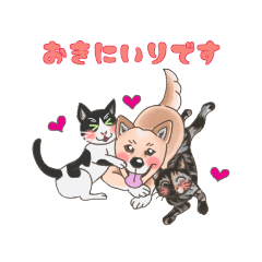 chihiro_20211125172625