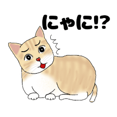 [Cat language]Fun tiger cat stickers