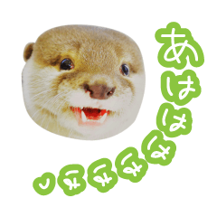 chiro is an otter (japanese ver.)