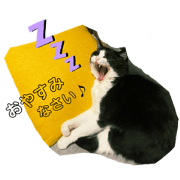 gorumi_20211125215559