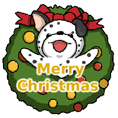 Dragon Fruit Dog - A Perfect Christmas