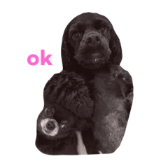 yuina_20211126105620