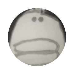 KAITO_20211125160949