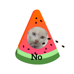 OmO_20211125164254