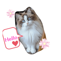 beautiful lady Happy.