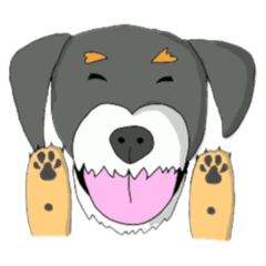 Hana the dog from Mexico