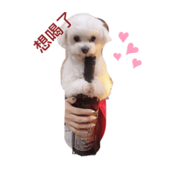 咪口的貼圖