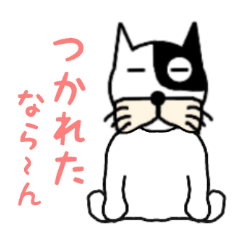 pampkifumi4