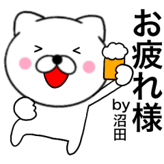 Name cat Numata2