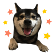 Kuroshiba KANTA