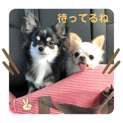 hana_20211126184552
