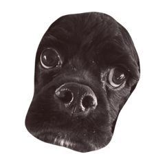 yuina_20211126195356