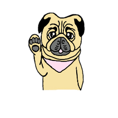 PUG  DOG  KINTOKI