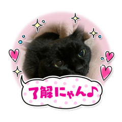 kii_20211126233255