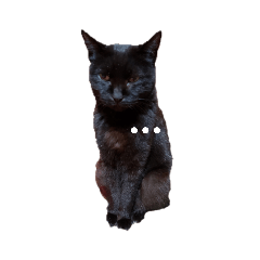 c_20211126175008