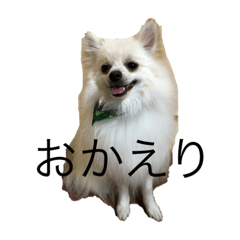 ayumi_20211126192040