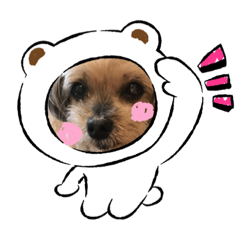 tomomi_20211126194457