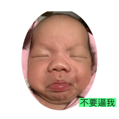 媽祖ㄟ金孫
