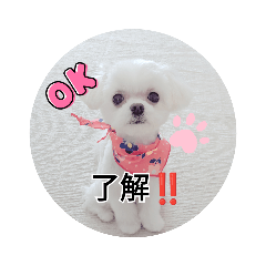 tomo@omochi_20211127092428