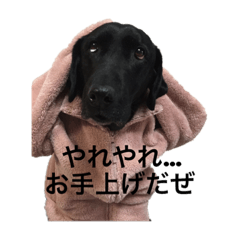 kaittttt_20211126225641