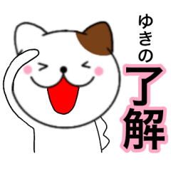 Name cat Yukino