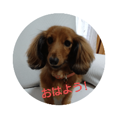 jean_20211126231359